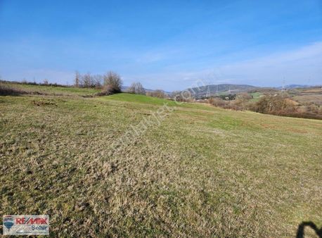 Yalova Fevziye Köyünde Satılık Tarla