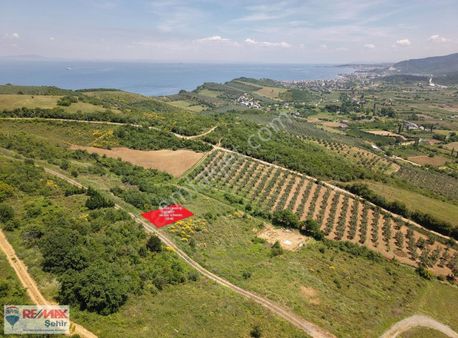 Doğanın İçinde Denize Yakın Sakin Ve Ferah Satılık Arsa