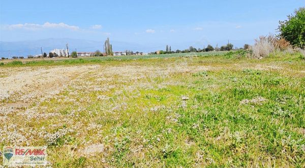 Balıkesir Burhaniye Memiş'de Satılık 5 Parsel Arsa