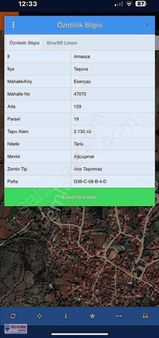 Amasya Taşova Esençay Köyünde Satılık Tarla