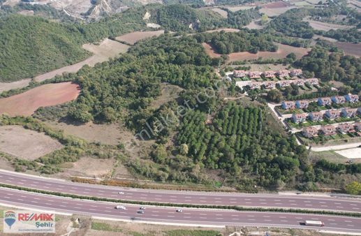 Yalova Çiftlikköy Kabaklıda Satılık 5000 M² Arazi