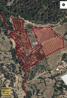 Kaş Sütleğen 50 Dönüm Satılık Arsa