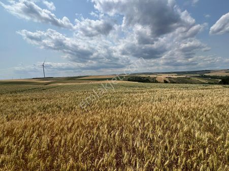 Çorlu Yenice'de Yatırıma Uygun Tek Tapulu Fırsat Arazi!!!