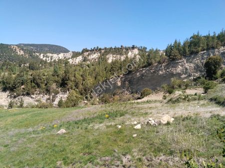 Çameli Kolakta Kelepir 20 000 M2 Müstakil Tapulu Arazi Satılık Veya Takas Olur.