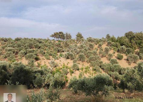 Kemalpaşa'da Satılık 4112m2 Yatırıma Açık Arazi