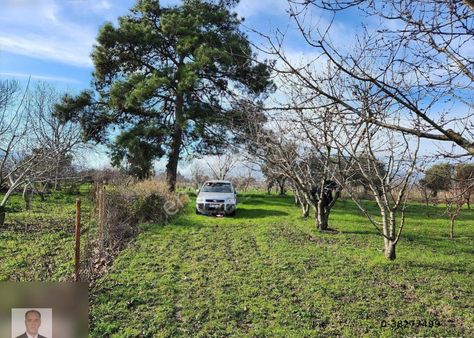 Kemalpaşa Örnekköy Altında 1442m2 Tek Tapu Hobi Bahçesi