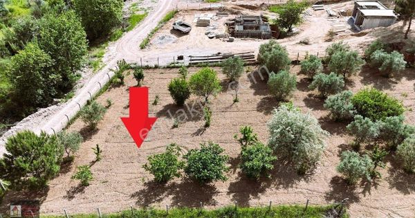 Kemalpaşa Örnekköy'de Satılık 1000m2 Köşe Konumda Villa Arsası