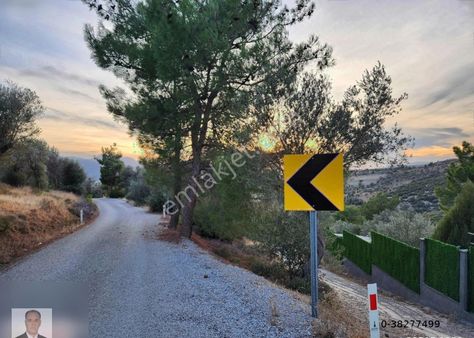 Kemalpaşa Yenmiş Köyünde Satılık 171m2 Asvalt Yola Cepe Arazi