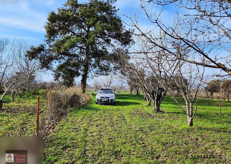 Kemalpaşa Örnekköy Altında 1442m2 Tek Tapu Hobi Bahçesi