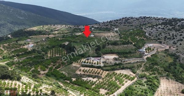 Kemalpaşa Beşpınar Köyü Manzaralı 2743 M2 Satılık Hobi Bahçesi