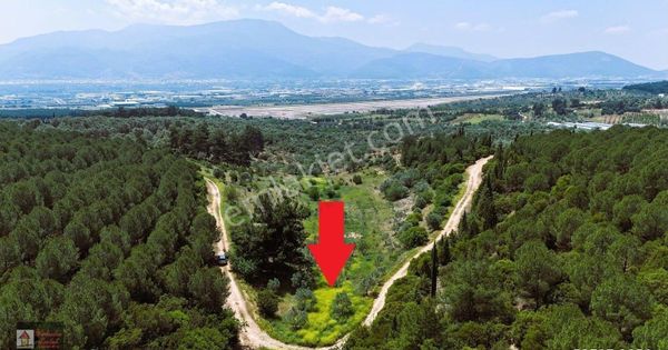 Kemalpaşa Ve Ulucak Daire Takaslı 4.403m2 Yatırımlık Arazi