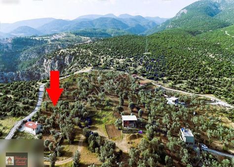 Kemalpaşa'da Manzaralı Havadar Bir Konum'da Satılık Kupon Arsa