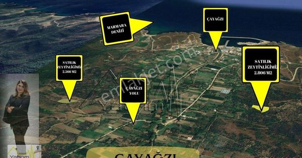 Erdek Çayağzı Mahallesinde 2.806 M2 Ve 2566 Satılık Arazimiz