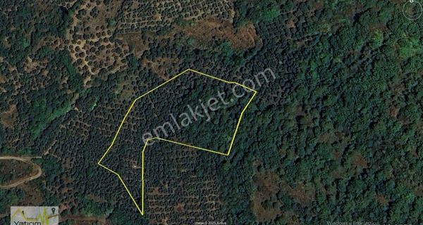 Erdek Çayağzı Mahallesinde 6770 M2 Satılık Zeytinlik