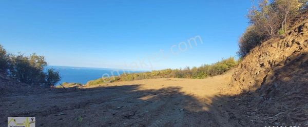 Lebi Derya Deniz Manzaralı Satılık Arazi