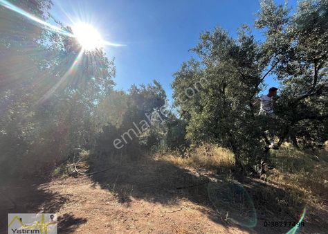 Erdek Aşağıyapıcı Mah Denize Yürüme Mesafesinde Satılık Arazi