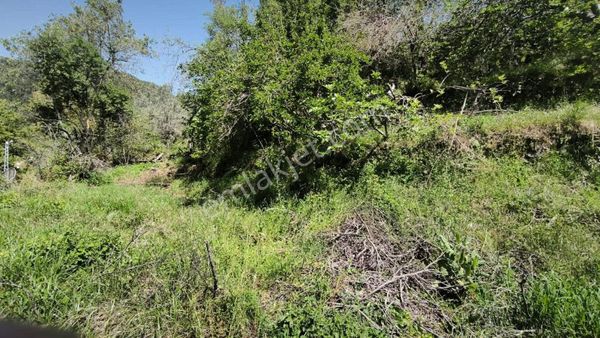 327 M² Yerimiz Satılıktır