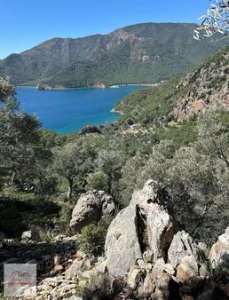 Tuana Gayrimenkul Den Ekincik De 2b Satılık Zeytinlik