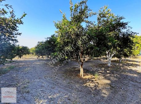 Tuana Emlak'tan Köyceğiz Toparlarda Satılık 2 B D-zone Parseller