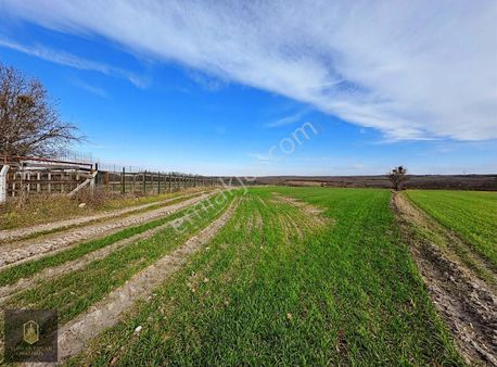 Toprak Emlak'tan Pınarça Köye Yakın 8.625 M2 Tek Tapu Tarla