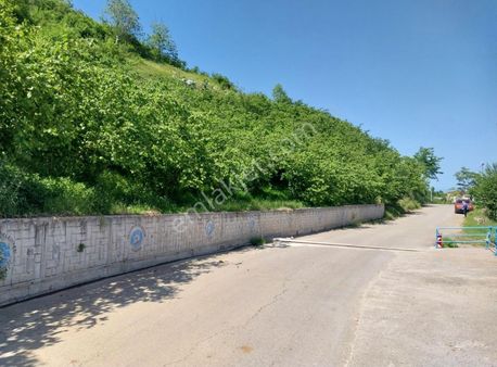 Akoluk'ta Manzaralı Yanyana 3 Parsel