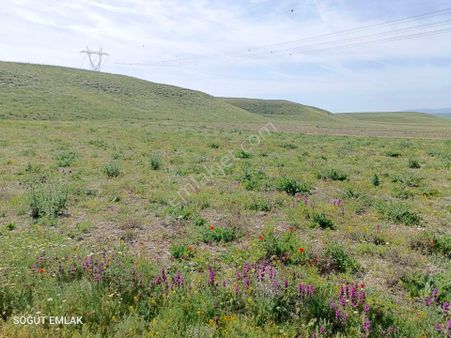 Söğüt Emlak'tan İscehisar'da Satılık Tarla Yatırımlık
