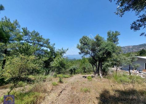 Mugla Gökbelde Göl Ve Deniz Manzaralı 1000m2 Arazi Satılık