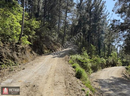 Alanya Oba Alacami'de Satılık 11 Dönüm Kurulu Düzen Bahçe