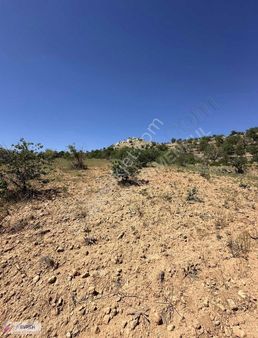 Satılık Villalık Arsa Açıklamayı Okuyun Lütfen