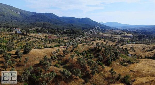 Seferihisar Orhanlı'da Yatırımlık Fırsat Tarla