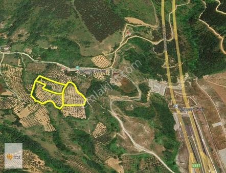 The World Seller'den Ortaköyde Mükemmel Manzaralı Zeytinlik