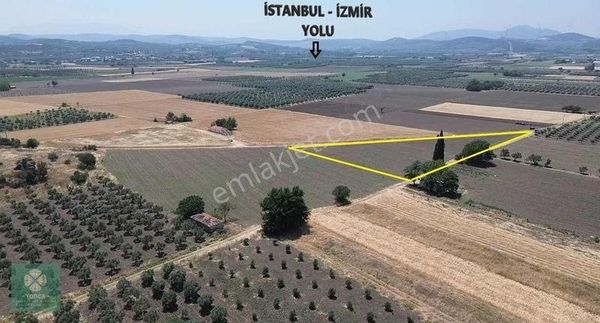 Yonca Gyo Gelenbe Karakurt Ovasında Satılık Tarla