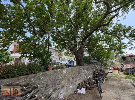 Assos Han Emlak'tan Sazlı Köyünde Köy İmarlı Arsa