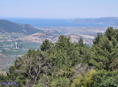 Şirince De Deniz Manzaralı Çiflik Yapmaya Uygun 9800 M.k Yer