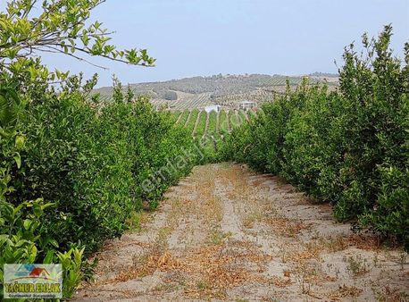 Yağmur Emlak'tan Acil Mustakil Tapulu Bahce Satılık