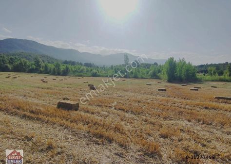 Satılık Süper Konumda 20.551.metre Kare Zeytin Erik Kaysı Ekimine Uygun Çok Verimli Sulu Tarla