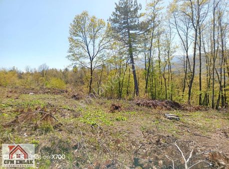 İnegöl-sarıpınar'da 4.233 M2 Satılık Tarla