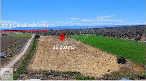 Su Gayrimenkulden Gazikemalpaşa Mh. 16.281 M2 Satılık Tarla