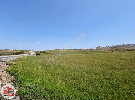 Nata Vega Yakını İmarlı Arsa Seçilmiş Gayrimenkul