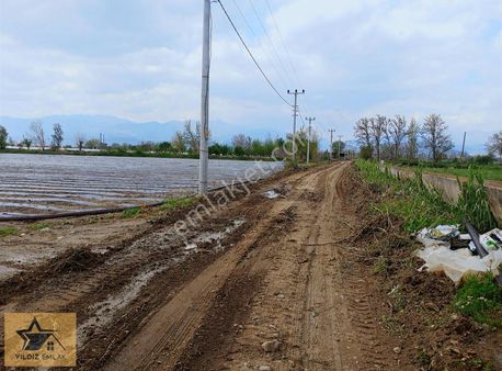 Aydın Çiftlik'te Satılık Tarım Arazisi(çilek Bahçesi)