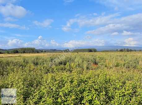 Yenigün Emlak'tan Hendek / Tuzak Mahallesinde Satılık Tarla