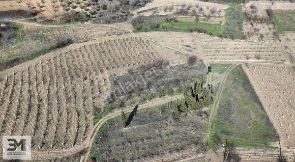 Geyve Hisarlık 738 M2 Resmi Yol,köye Yürüme Mesafesi Şeftalilik