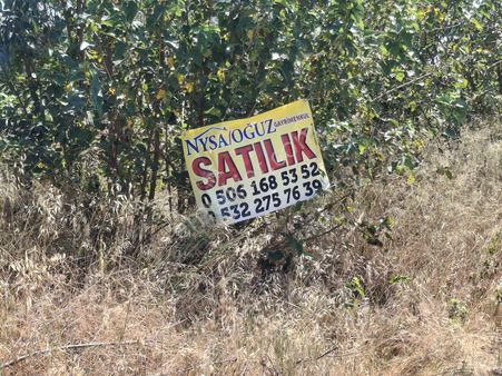 Sultanhisar Hisar Mah Bahçe