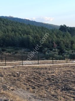 Mugla Milas Bozbuk Te Satılık Deniz Manzaralı Kooperati Paselleri