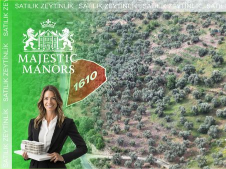 İsabeyli Çobanlar Yolu Üzeri 1610m2 Zeytinlik