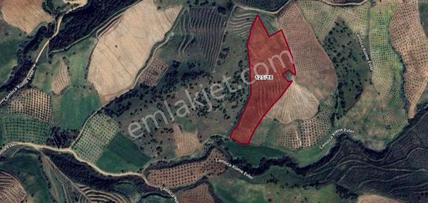 Ödemiş Çamlıca 16.192 M2 Satılık Tarla