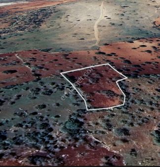 Şehitkamil Yığınlı Da 2.510 M² Tek Tapu Fıstıklık