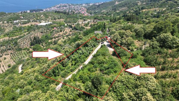 Kocaeli Karamürsel Tepeköy Satılık 4758 M2 %5 İmarlı Bahçe