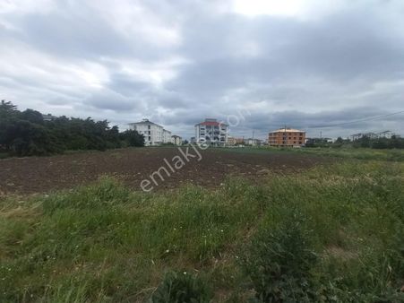 Satılık Arsa Selimpaşa Yoğurthanede Özgüvener Emlakinşaat Tan