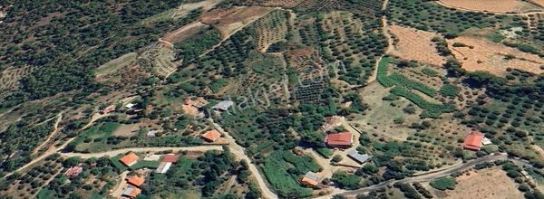 Goldhouse Dan Satılık Tarla Seydikemerde 2710 M2